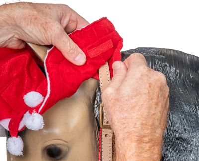 Image showing  Horse Hat