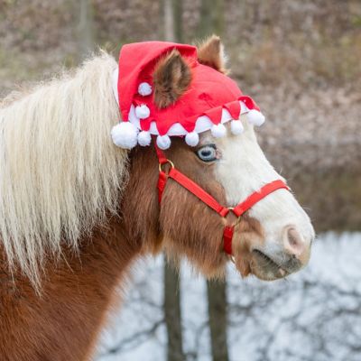 Image showing  Horse Hat