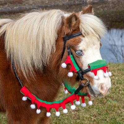 Image showing  5 pc. Set Mini Bridle & Rein Covers