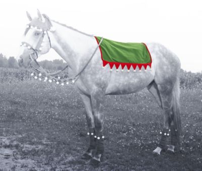 Image showing  English Saddle Pad Cover