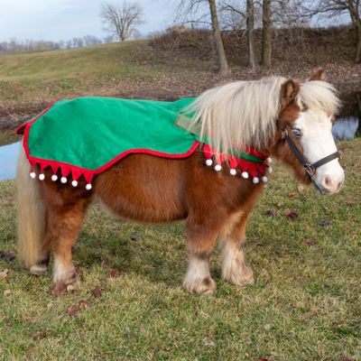 Image showing  Mini Quarter Sheet