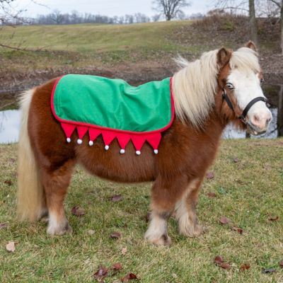 Image showing  Western Saddle Pad Cover