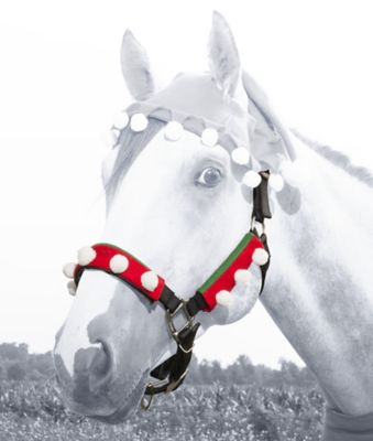 Image showing  3 pc. Set Halter Covers