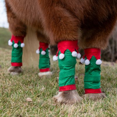 Image showing  4 pc. Set Mini Leg Wraps