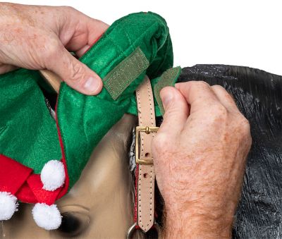 Image showing  Horse Hat