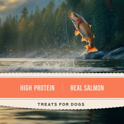 Image showing  Salmon Jerky Recipe High-Protein Dog Treats, 24 oz.
