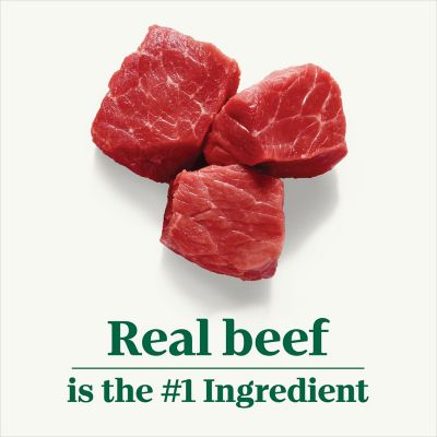 Image showing  Cuts in Gravy Wet Dog Food Beef, 12.5 oz.