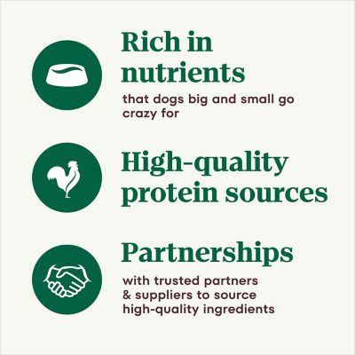 Image showing  Cuts in Gravy Wet Dog Food Beef, 12.5 oz.