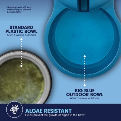 Image showing  Big Blue Outdoor Dog Water Bowl