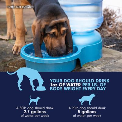 Image showing 6 th Petmate Big Blue Outdoor Dog Water Bowl