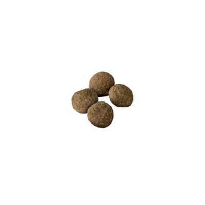 Image showing  Sensitive Skin and Stomach Large Breed Adult Salmon and Rice Recipe Dry Dog Food, 24 lb.