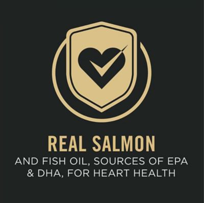 Image showing  Sensitive Skin and Stomach Large Breed Adult Salmon and Rice Recipe Dry Dog Food, 24 lb.
