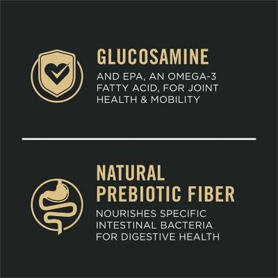 Image showing  Sensitive Skin & Stomach Large Breed Salmon & Rice Formula, 24 lb.