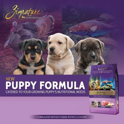 Image showing  Original Puppy Formula Dry Dog Food with Probiotics
