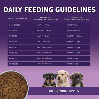 Image showing 5 th Zignature Puppy Multi-Protein Formula with Probiotics Dry Dog Food