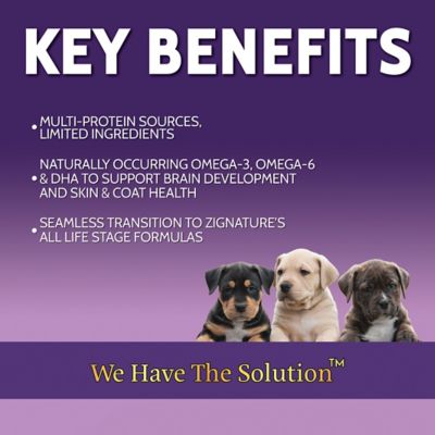 Image showing  Limited Ingredient Puppy Formula Dog Food, 13 oz.