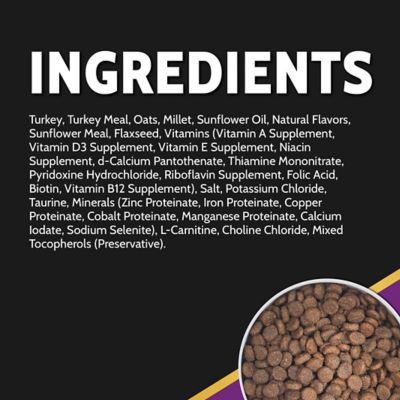 Image showing  Select Cuts Turkey Formula Dry Dog Food