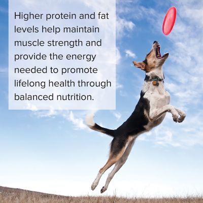 Image showing  Natural 26 Dry Dog Food