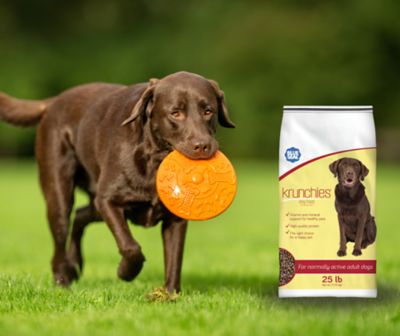 Image showing 5 th Blue Seal Krunchies Dry Dog Food