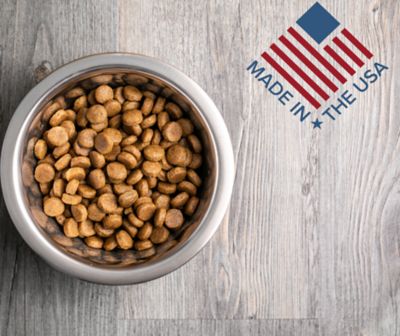 Image showing 4 th Blue Seal Krunchies Dry Dog Food