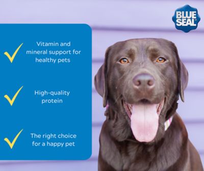 Image showing 5 th Blue Seal Krunchies Dry Dog Food