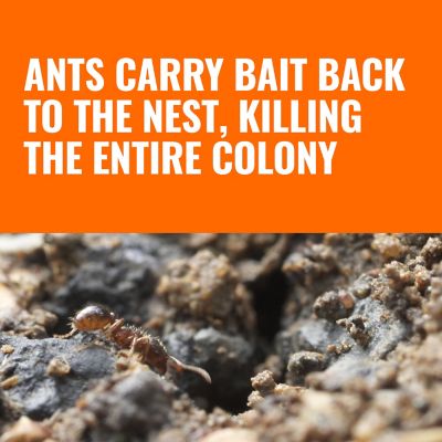 Image showing  Outdoor Liquid Ant Bait Stakes, 12 pack