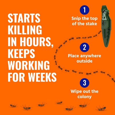 Image showing  Outdoor Liquid Ant Bait Stakes, 12 pack