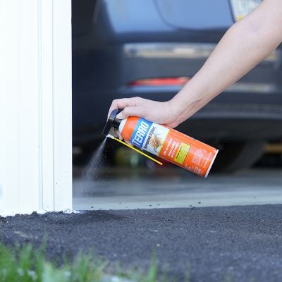 Image showing 9 th TERRO Scorpion Killer Spray