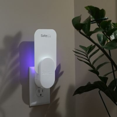 Image showing  Indoor Fly Trap Extra Large Refill Glue Cards