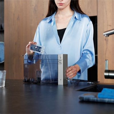 Image showing 6 th DeLonghi EcoDecalk Descaler and Water Filter, pack of 2 Bottles