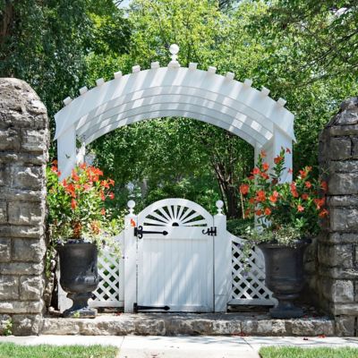 Image showing  4 in. Mandevilla FiredUp Orange, 3-Pack