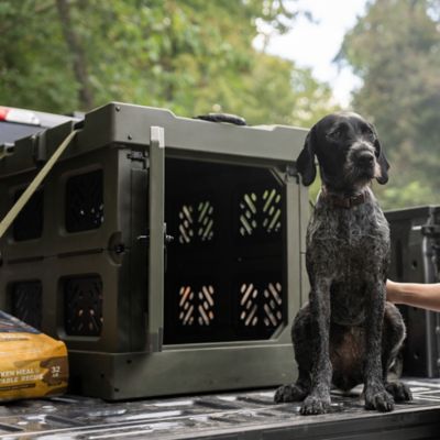 Image showing 7 th Field & Stream 36 in. Heavy-Duty Collapsible Travel Dog Kennel