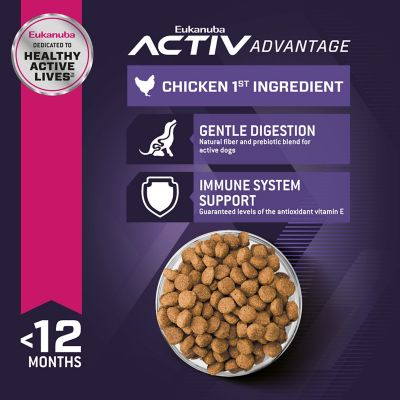 Image showing  Puppy Large Breed Chicken Formula Dry Dog Food