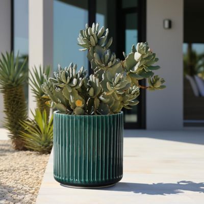 Image showing  Jade Green Ribbed Round Ceramic Planter