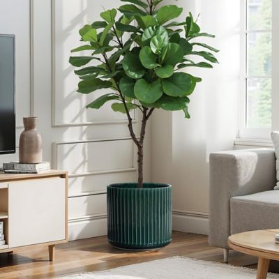 Image showing  Jade Green Ribbed Round Ceramic Planter