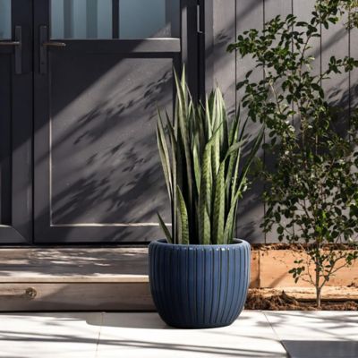 Image showing  Ribbed Bowl Round Ceramic Decorative Planter Pot