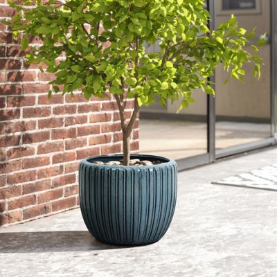 Image showing  Ribbed Bowl Round Ceramic Decorative Planter Pot