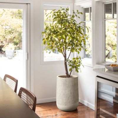 Image showing  Blended Tan with Wood Pattern Round Tapered MgO Planter, Indoor and Outdoor
