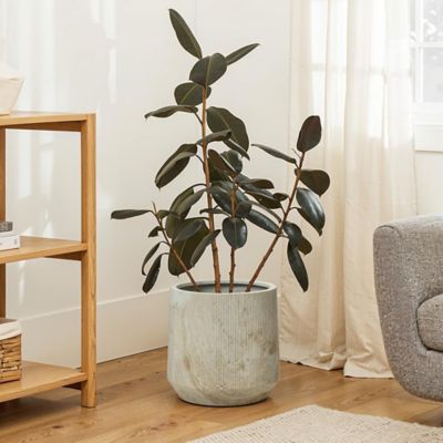 Image showing  2-Piece Marble Off-White Ribbed Texture MgO Planter Set, Indoor and Outdoor