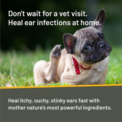 Image showing  Rapid Ear Care Vet Strength Ear Treatment Rinse with Concentrated Doses for Cats and Dogs