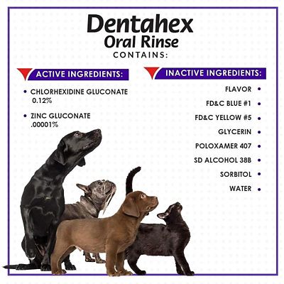 Image showing  Dentahex Oral Rinse for Dogs and Cats, 8 oz.