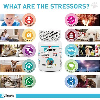 Image showing  Calming Supplement Capsules for Dogs and Cats, 30 ct.