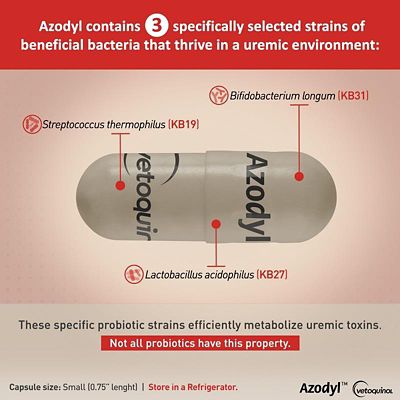 Image showing  Azodyl Small Capsules for Cats and Dogs, 90 ct.