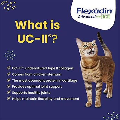 Image showing  Advanced with UC-II Joint Supplement Chews for Cats and Dogs