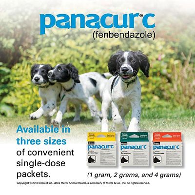 Image showing  Dewormer for Dogs