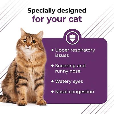 Image showing  Lysine Complete Immune Support Powder for Cats, 2.75 oz.