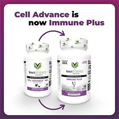 Image showing  Immune Plus Capsules for Dogs