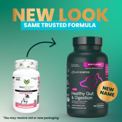 Image showing  Acetylator Gastrointestinal Supplement Capsules for Dogs and Cats, 120 ct.