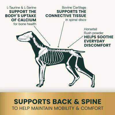 Image showing  Vetri Disc Joint Support Capsules for Dogs, 180 ct.