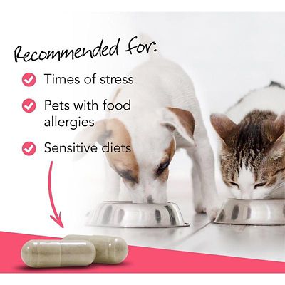 Image showing  Vetri Mega Probiotic Capsules for Cats and Dogs, 120 ct.
